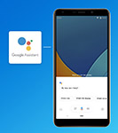 Google Assistant 